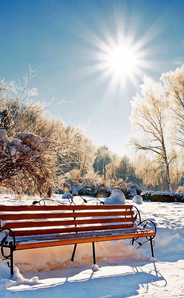 15170296009559.jpg 23.jpg